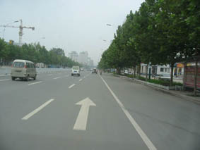Dongfeng Street Greening 지니 카지노