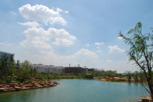 Wildow Hebei District II Landscape Greening 밀리언 카지노