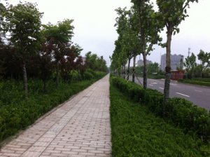 지니 카지노 Yong'an Road Greening Project