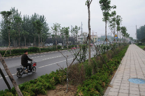 밀리언 카지노 City의 Wolong West Street (Xihuan Road-Changsong Road)