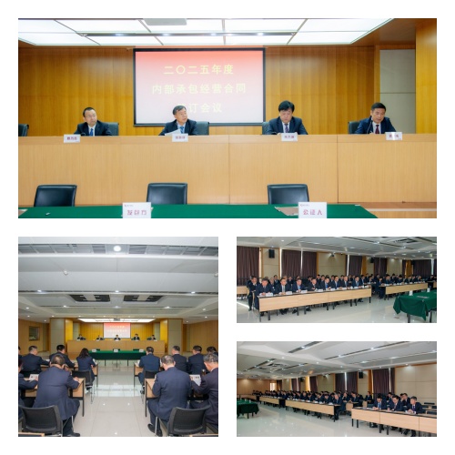 카지노 검증 사이트